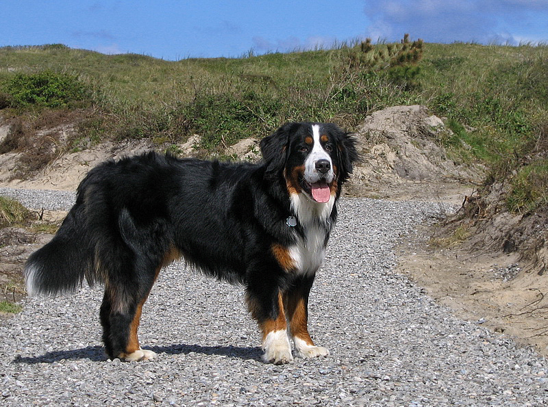 Texel Anton PICT 1645_Bildgröße ändern.jpg - .